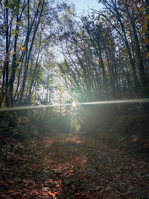 Le vie del Sole Cereglio di Vergato (BO)