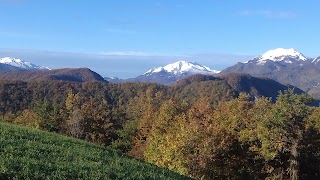 la pietra guide alpine