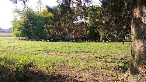 Area Attrezzata Macchia di Gattaceca e Macchia del Barco