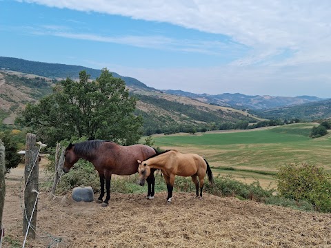 Agriturismo Manuela Di Agricola Federica