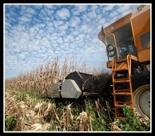 Impresa Agromeccanica Loconte