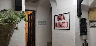 Ristorante Buca di Bacco