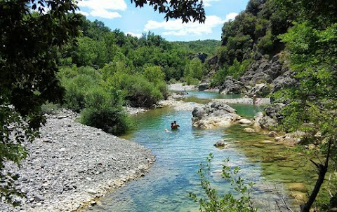 Riserva Naturale Foresta di Berignone