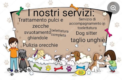 DOG SHOWER BAGNI E TOSATURE SERVITI O SELF SERVICE H24