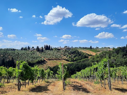 Salvadonica - Borgo del Chianti