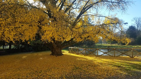 Parco Villa Gandini