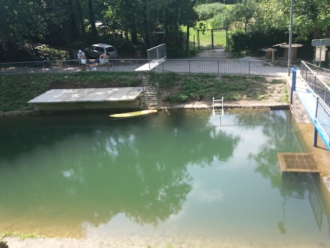 Natural swimming pool