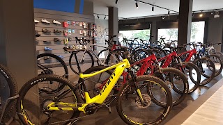Cicli Argentin - Giant Store