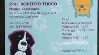 Roberto Turco