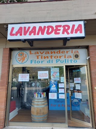 Lavanderia Tintoria Fior di Pulito