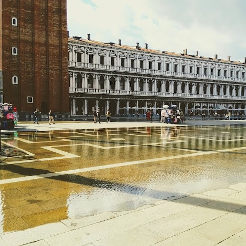 Guida turistica di Venezia e ville venete - Fiorella Pagotto