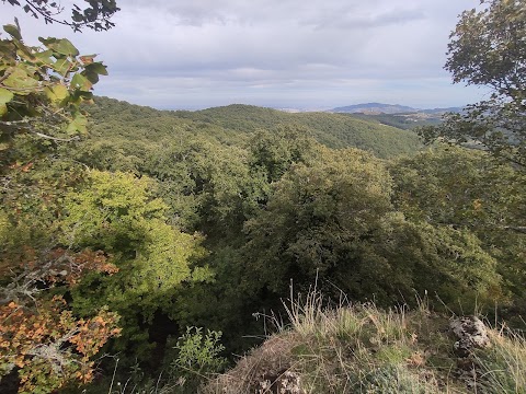 Bosco Tre Cancelli, Tricarico (MT)