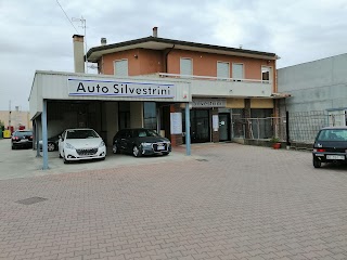 Auto Silvestrini