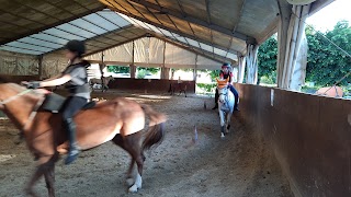 Pony Club Lomazzo