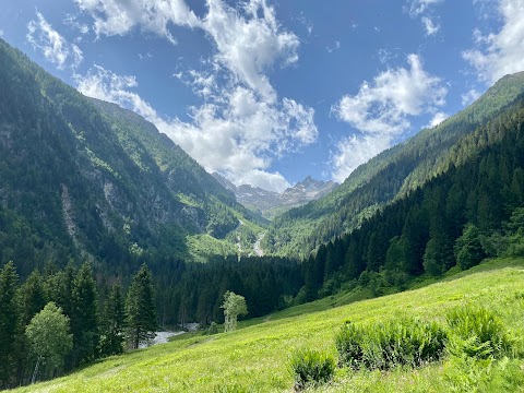 Agriturismo "Malga Valpiana"