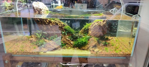 Aquascaping Store