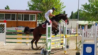 Maneggio "A.s.d. Equestrian Academy" - Monopoli - Scuola di Equitazione