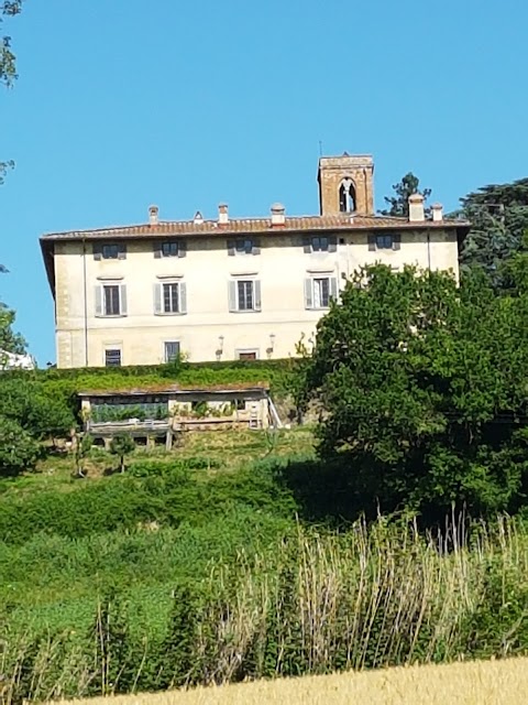 Enoteca Corte di Marchesi Frescobaldi