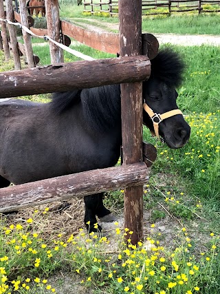 Centro Ippico Cavallino Bianco