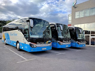 Street Tour, Prometno - turistično in gostinsko podjetje, d.o.o., Portorož