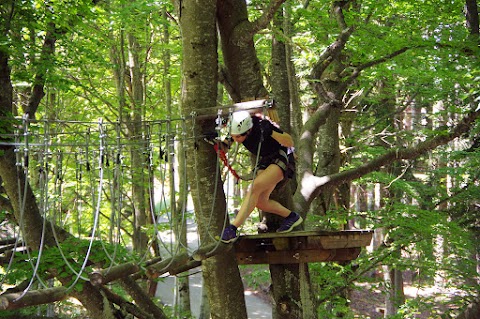 Adventure Park - Parco Avventura Piane di Mocogno