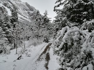 Casa Alpina