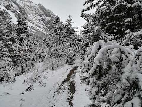 Casa Alpina