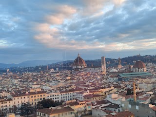 Florence Eye Ruota Panoramica