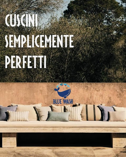 BLUE WASH, "La Balena del Pulito" Lavanderia SELF-SERVICE ad Acqua