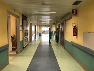 Ospedale San Carlo Borromeo