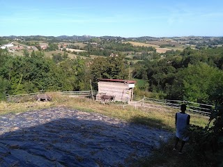 Az Agricola TETTI CASTAGNO