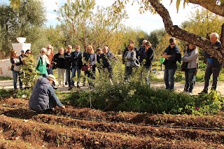 Bio Solequo Coop - Contrada Cervarolo