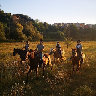 Acavalloconale passeggiate a cavallo Roma Nord