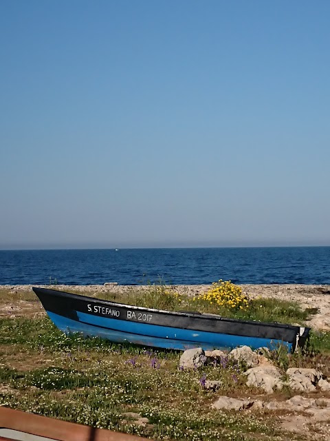 Trasporti Rotondo