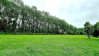 Parco dell'Albereta - Pioppeta del Galluzzo