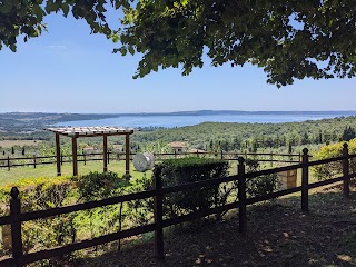 La Collina dei Silenzi