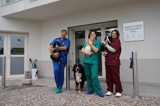 Ambulatorio Veterinario Salò Facchetti Massimo Brescia