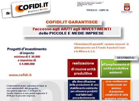 COFIDI.IT soc. coop.