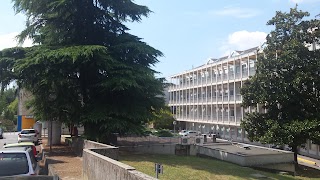 Centro Gallucci - Azienda Ospedale Università Padova