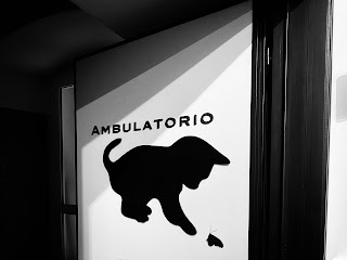 Ambulatorio Veterinario Dott.ssa Cento