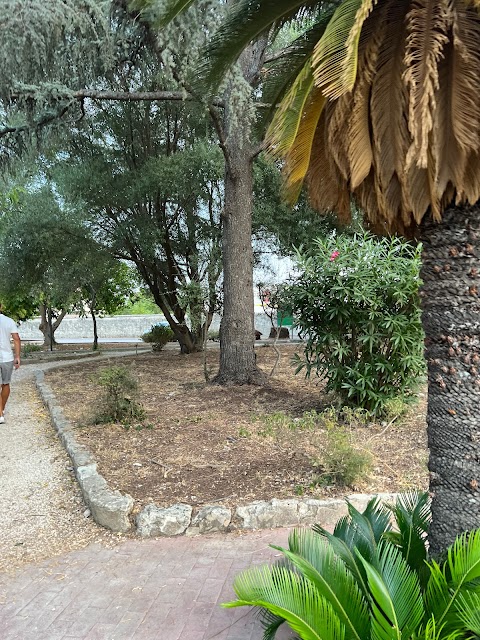 Calisthenics Siracusa