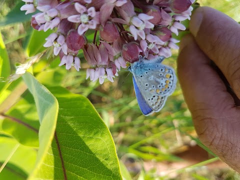 B&B Le Petit Fleur