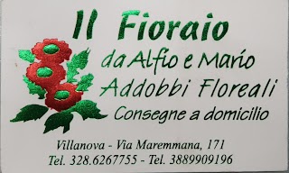 PIANTE E FIORI..da ALFIO