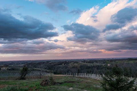 Cantina Marchionni Roberto