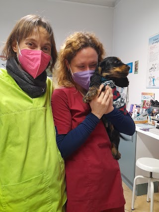 Ambulatorio Veterinario Dott.ssa Rebora