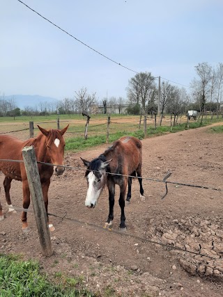 Circolo Ippico "Il Castegno"