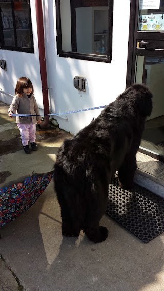 GRAGLIA - Pensione per Cani e Gatti (piobesi, Vinovo, La Loggia, Carignano, Carmagnola, None, Moncalieri, Nichelino, Torino