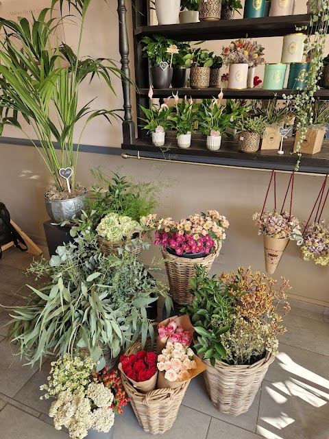 Frida's Collegno | Italian Flower Stores