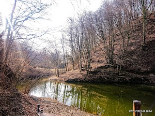 Lago dei Pini