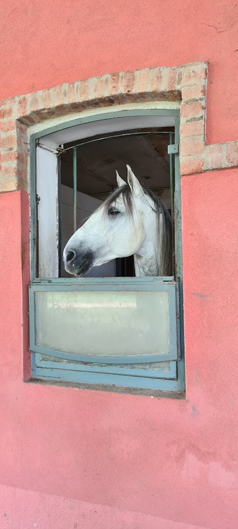 Scuderia La Colombera